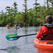 Three people paddle across a lake. Tall green trees line the horizon.