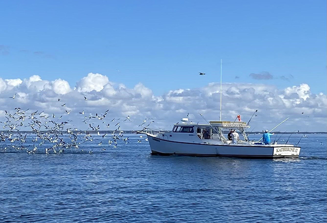 Picture of people fishing from the Katherine Charter Fishing boat.