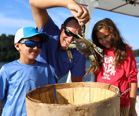 A picture of a father displaying a Maryland Blue Crab to his son and daughter.