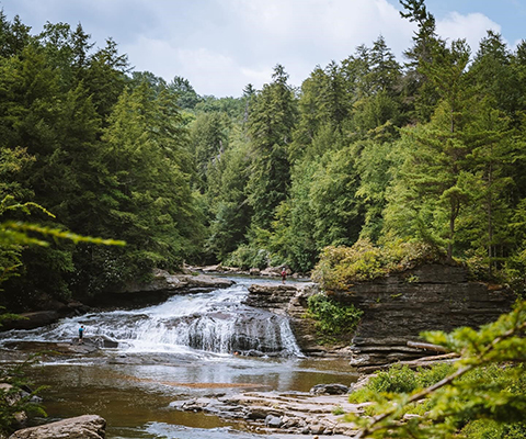 Picture of a waterfall flowing into the river.