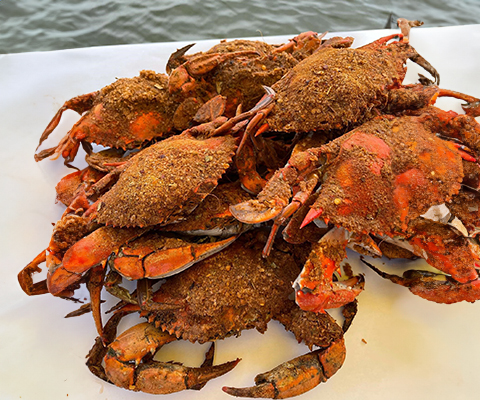 Picture of a pile of steamed crabs.