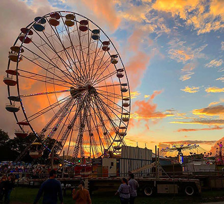 Picture of a Ferris Wheel.