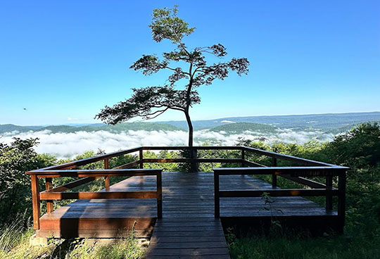 Picture of Zumbrun Overlook