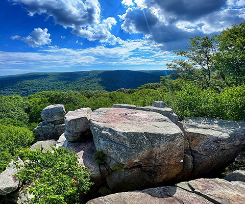 Picture of a Western Maryland Mountain Rocky Cliff. 