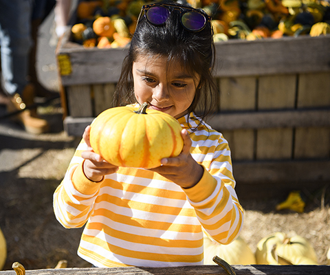Picture of a girl holding a pumpkin from Milburn Orchard.