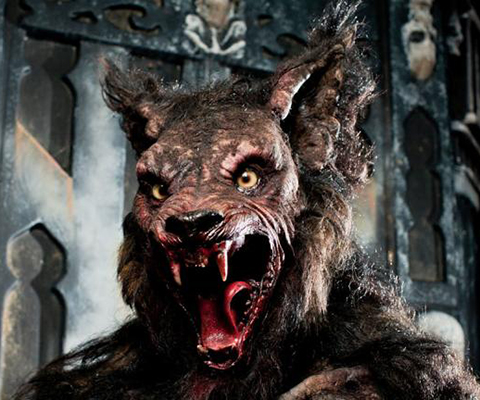 A Picture of a Scary Wolf Halloween Character.
