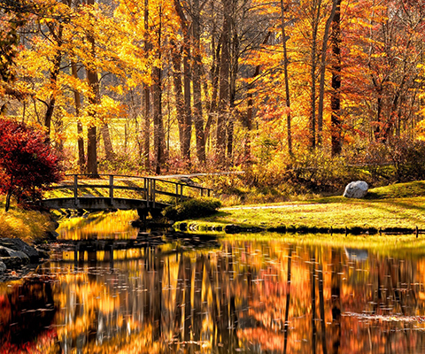 Picture of a very pretty Fall Foliage with trees of golden and red leaves and a river of reflections.