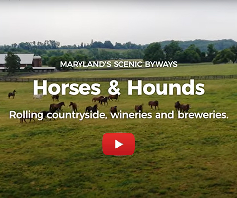 Picture of the Horses & Hounds Scenic Byways Video cover.