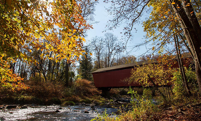 Picture of the Jericho Covered Bridge surrounded by the natural beauty of Maryland's fall foliage.