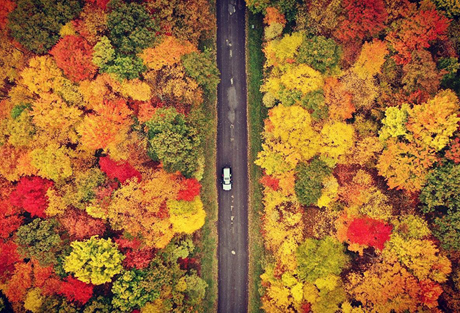 Picture of an overhead shot of beautiful Fall folhttps://outgoing-img-cdn.s3.amazonaws.com/images/spacer.gifge and a car riding down the road in between the colorful forests.