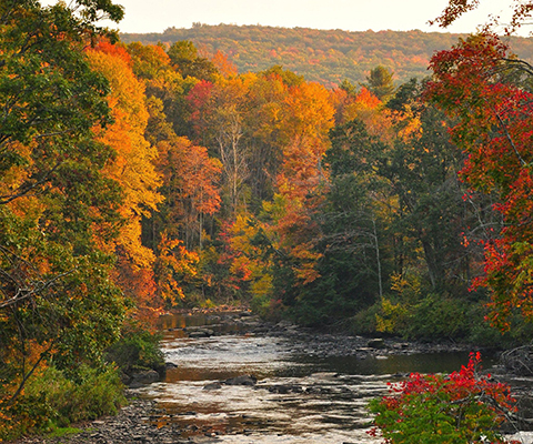 Picture of a river flowing through beautiful Fall foliage mountains.
