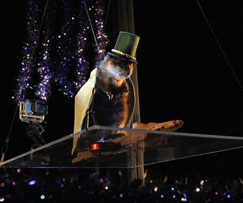 A picture of the Muskrat Dive New Year's Celebration.