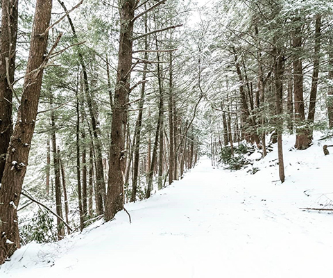Picture of a white snowy trail for hiking.