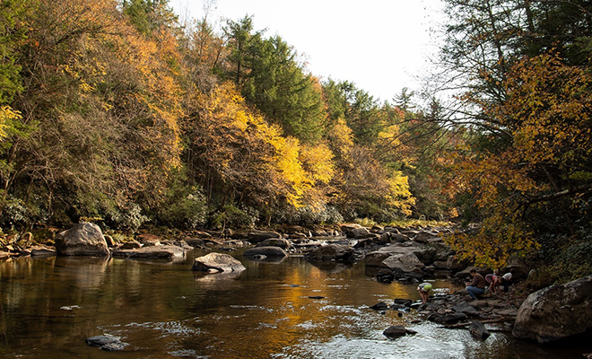 Natural beauty guaranteed at Maryland’s state parks.