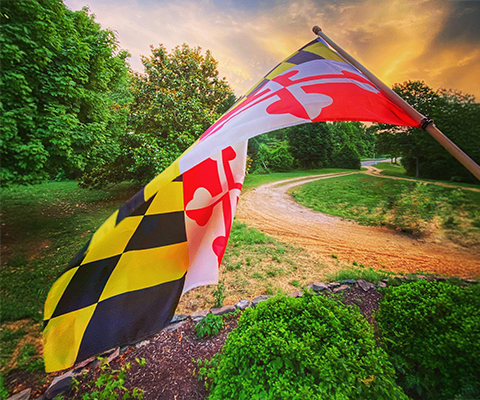 The Maryland State Flag blowing in the wind.