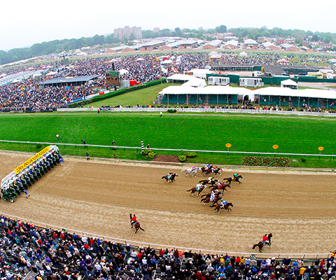 Preakness Stakes race at Pimlico by Jimmy McCue.