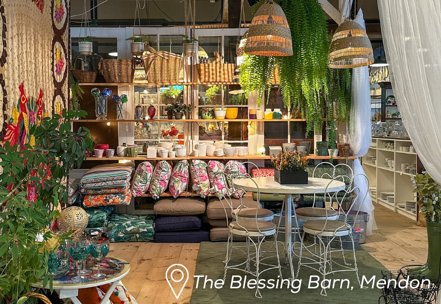 a room filled with lots of plants and furniture