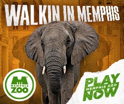 A logo for Memphis Zoo featuring an African elephant