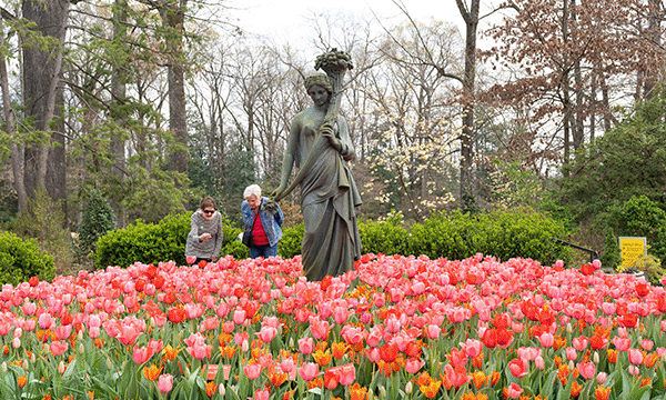 A rotating series of images showing a statue in the middle of a flower garden with guests enjoying the garden in the background, a couple joining a crowd of concertgoers at Overton Park Shell and a sea of green watching the floats stroll down Beale Street at the annual St. Patrick's Day Parade. 