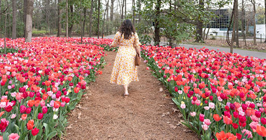 A woman walking through the tulip gardens at the Dixon Gallery & Gardens.