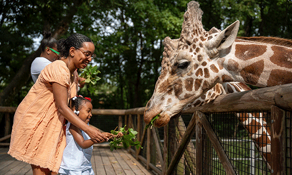 A rotating series of images showing a woman and child feeding a giraffe, kids traversing a ropes course and two children dressed as firefighters.