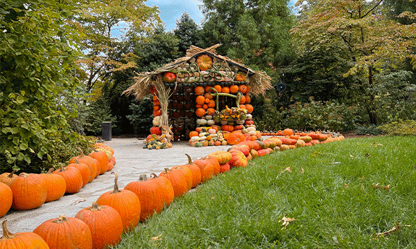 A rotating series of images showing a pumpkin house fall-decor arrangement at the Dixon Gallery & Gardens, a kayaker on the water at Shelby Farms Park with fall foliage in the background and a woman enjoying the fall weather at Chimes Square in Overton Square Entertainment District. 