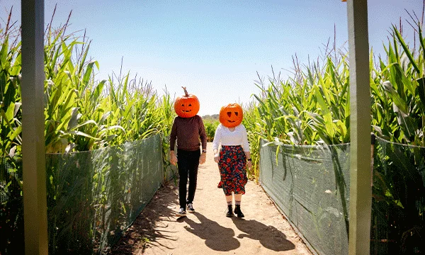 A rotating series of images showing a couple wearing carved pumpkins as masks as they walk through a corn maze, a woman dressed up for a living-history ghost tour at Elmwood Cemetery and a festive fall display of a house made from pumpkins at Dixon Gallery & Gardens.