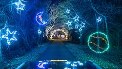 View of Starry Nights holiday light displays at Shelby Farms from a car sun roof. 