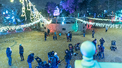 Visitors enjoying holiday lights and falling snow from the snow machine in the snow area at Holiday Wonders at the Garden at Memphis Botanic Garden. 