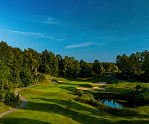 90 Holes for $90