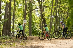 A group of bicyclists riding on a trail in the forest. 