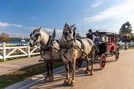 A horse-drawn carriage on Mackinac Island. 