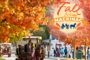 A horse and carriage traveling under fall trees on Mackinac Island. 
