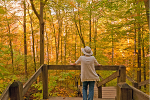 A woman standing on an overlook platform in a fall forest. 