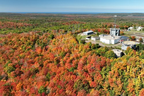 Fall forests around an old airbase. 