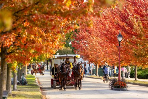 A horse-drawn carriage traveling beneath fall trees. 