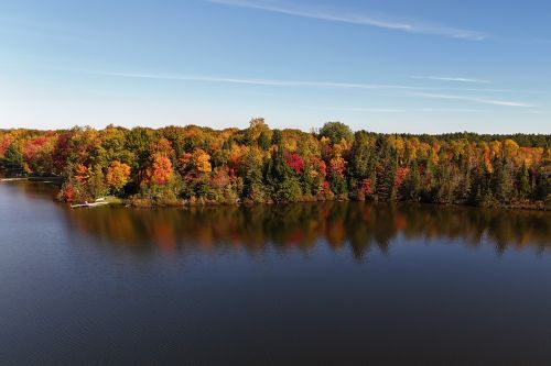 Fall trees and evergreens along the shore of an inland lake. 