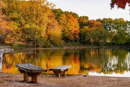 Benches beside an inland lake surrounded by a fall forest. 