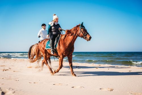 Two women riding horses on the beach along Lake Michigan. 