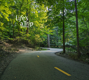 winding road with trees on both sides, slogan says Life's a Trip