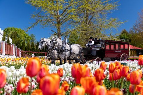 Mackinac Island Tourism