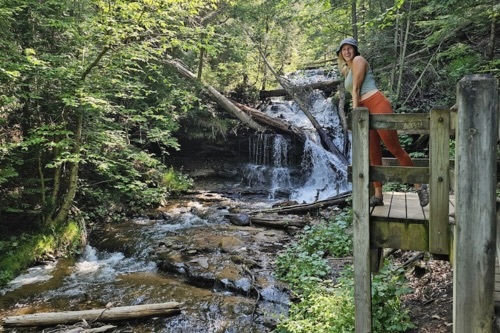 Best Western Hotel & Resorts of Michigan
