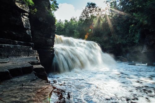 A waterfall rushing with water surrounded by a forest. 