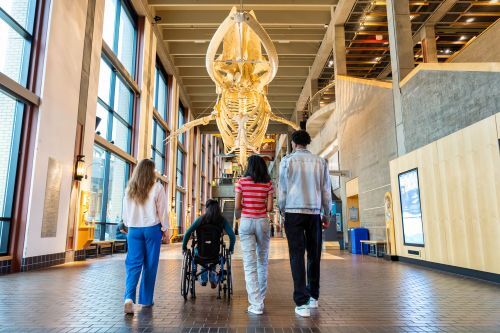 Experience Grand Rapids