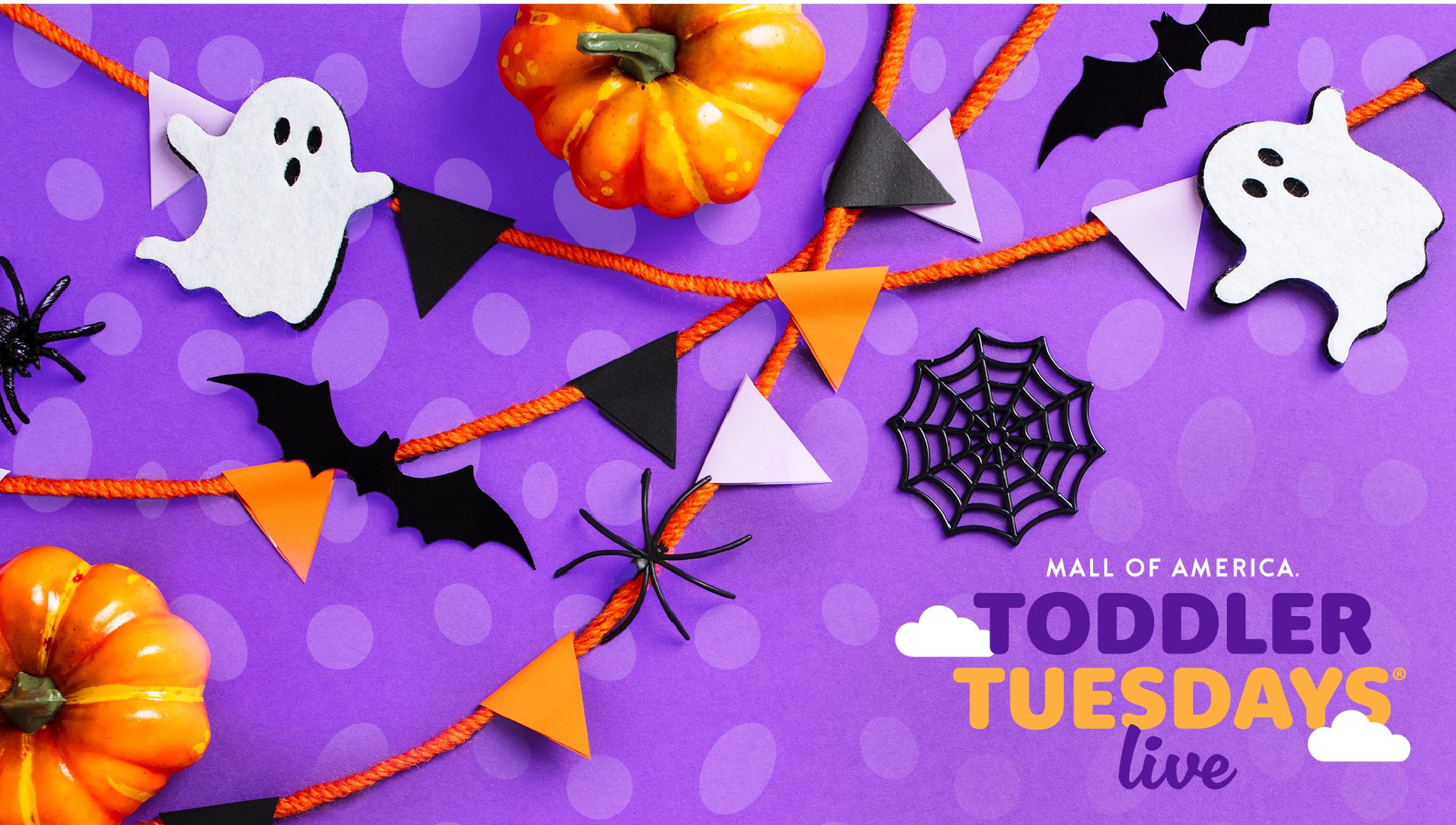 Toddler Tuesdays LIVE