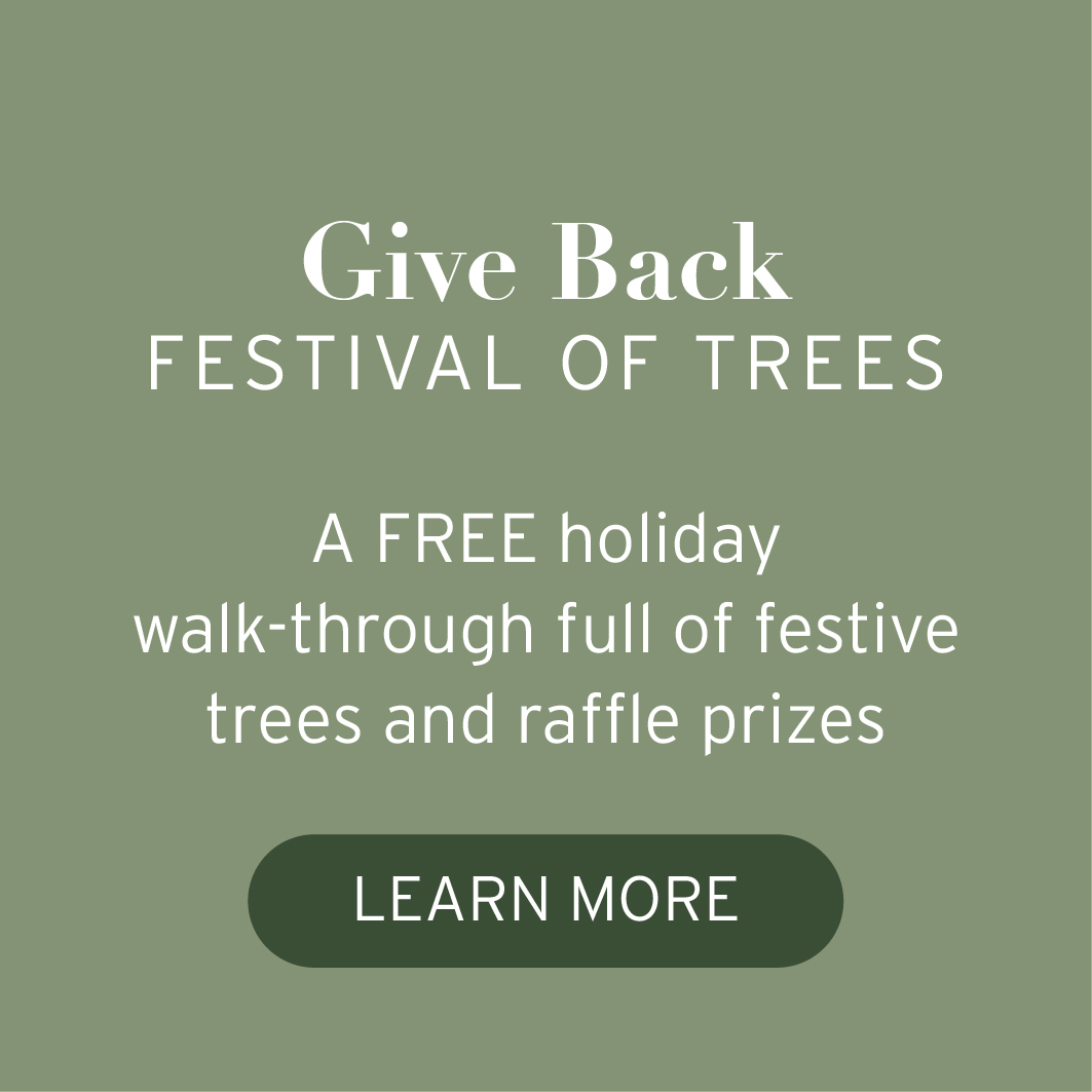 Festival of Trees  Give Back Together A FREE holiday walk through full of festive trees and raffle prizes
