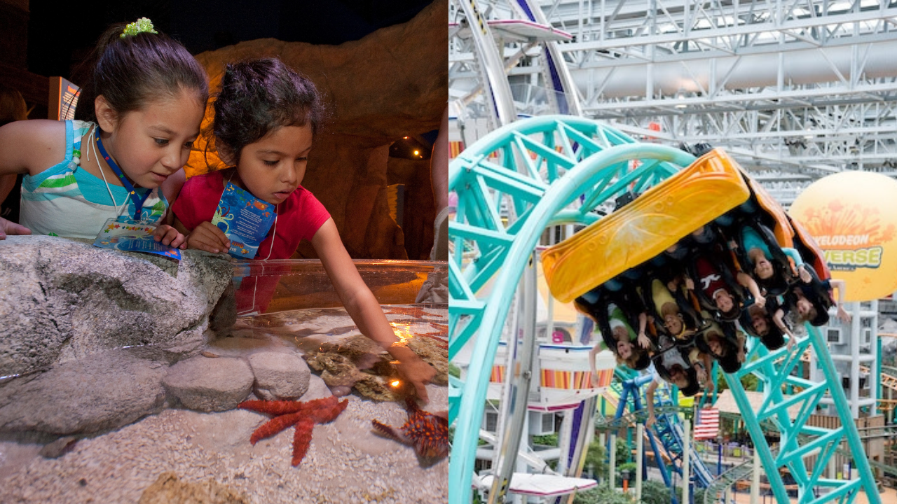 Kids at SEA LIFE and on a roller coaster