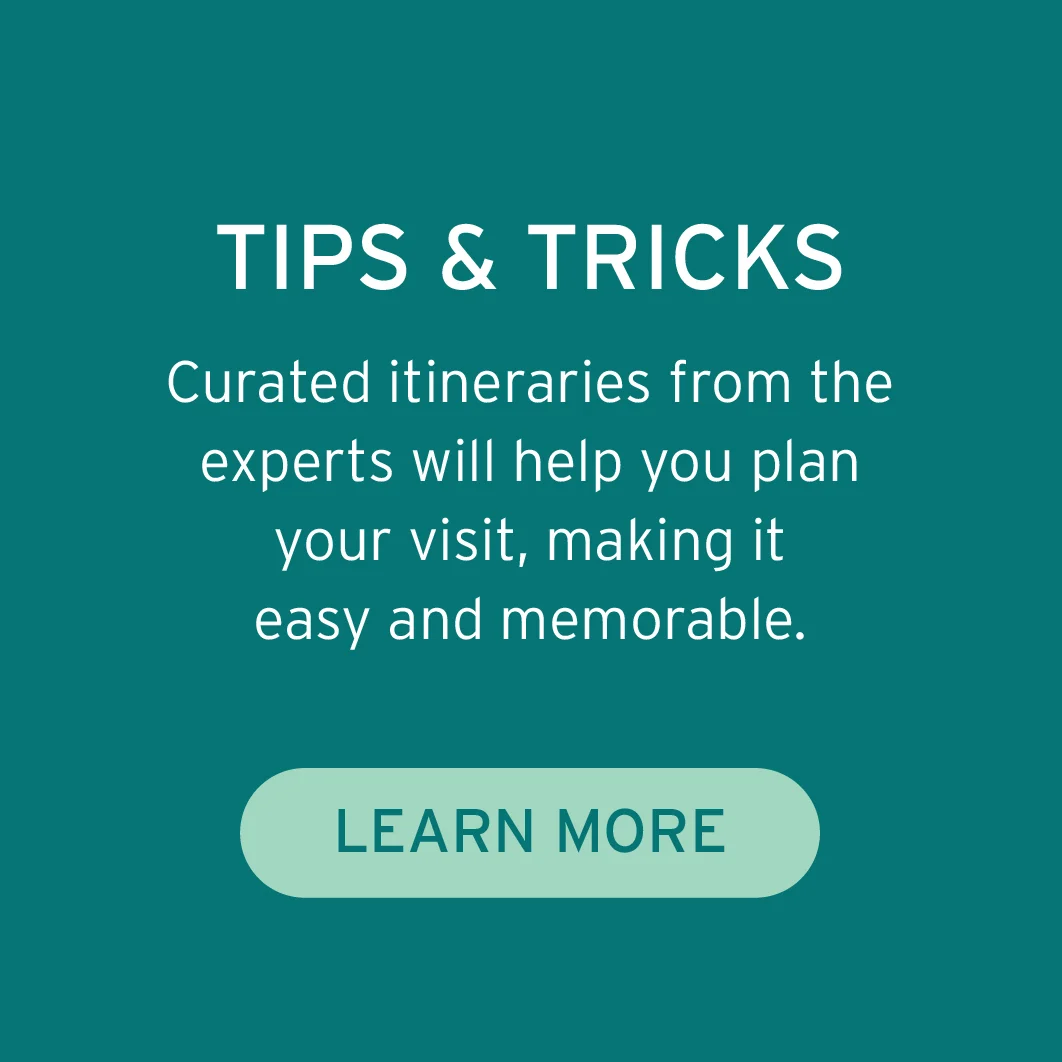 TIPS & TRICKS Curated itineraries from the experts will help you plan your visit, making it easy and memorable.