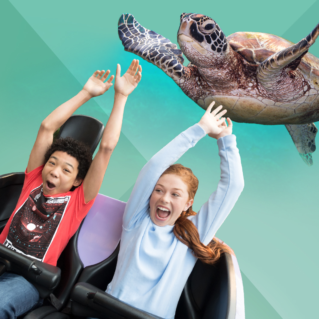 two kids on a rollercoaster + a sea turtle hovering over them