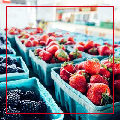 2025 Strawberry Jubilee Festival